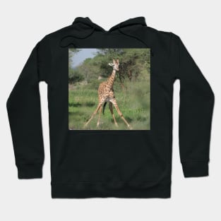 She stoops to conquer Hoodie